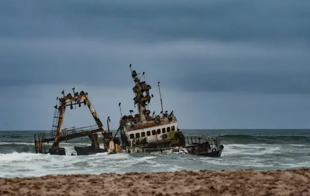 Skeleton Coast: Namibia's foggy desert shore where shipwrecks and desert lions meet