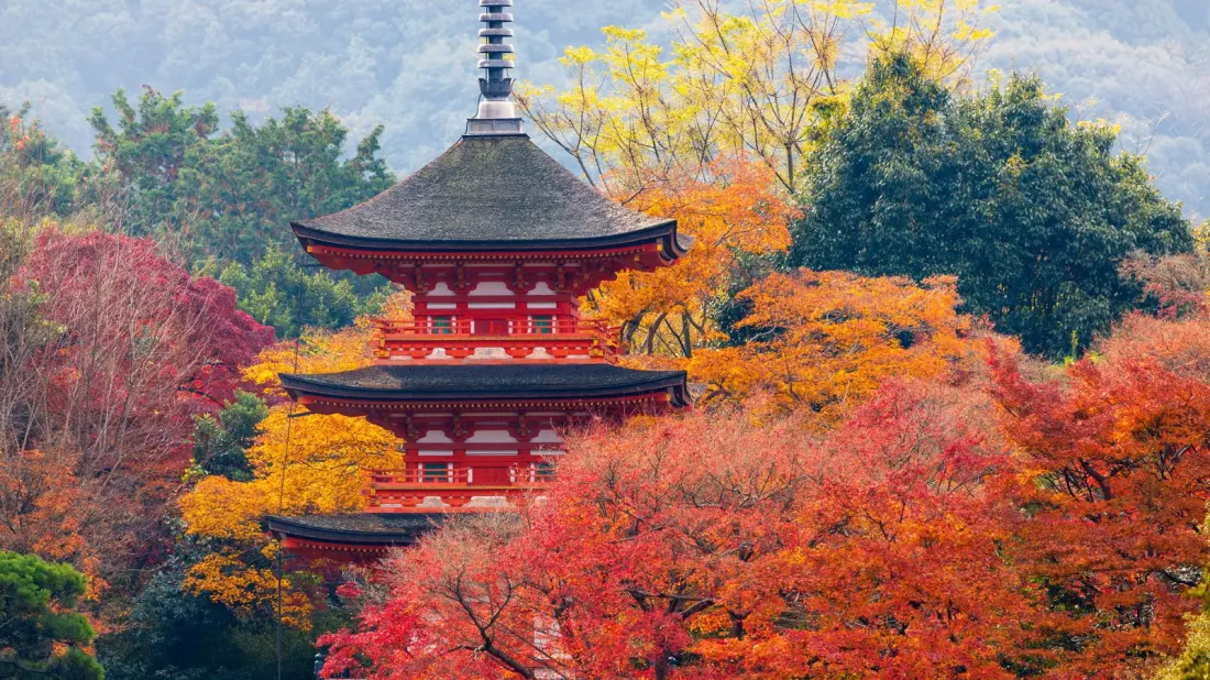 Japan Is Amazing — But These 10 Tourist Gripes Are Worth Knowing Before You Go