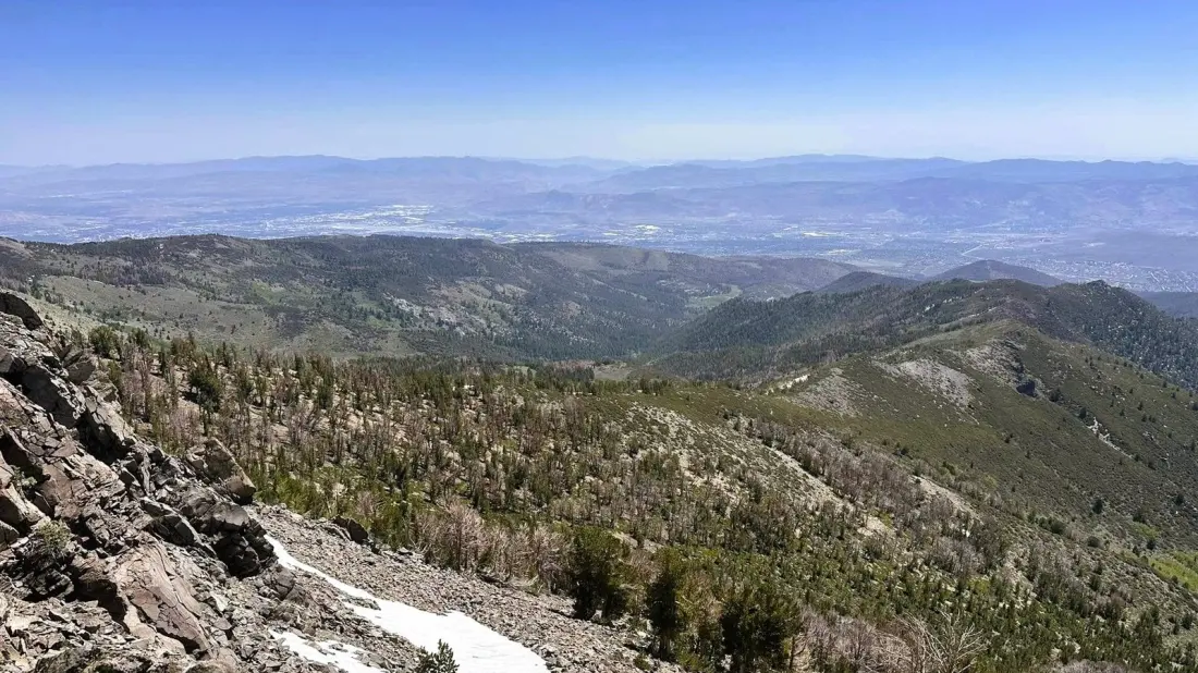Thomas Creek Trail: The Quietest Way Into the Mount Rose Wilderness