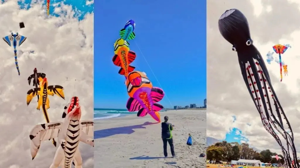 Cape Town's sky goes big for mental health at the 32nd Kite Festival