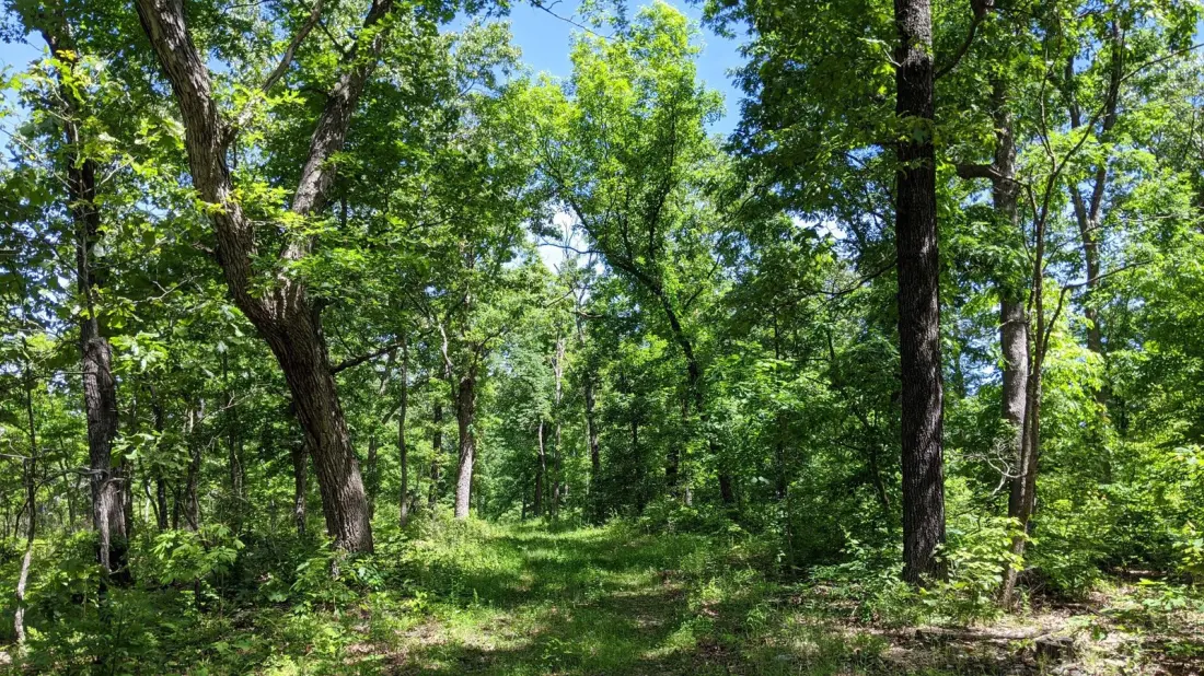 Little Indian Creek: A Quiet 4,200-Acre Ozark Escape an Hour From St. Louis