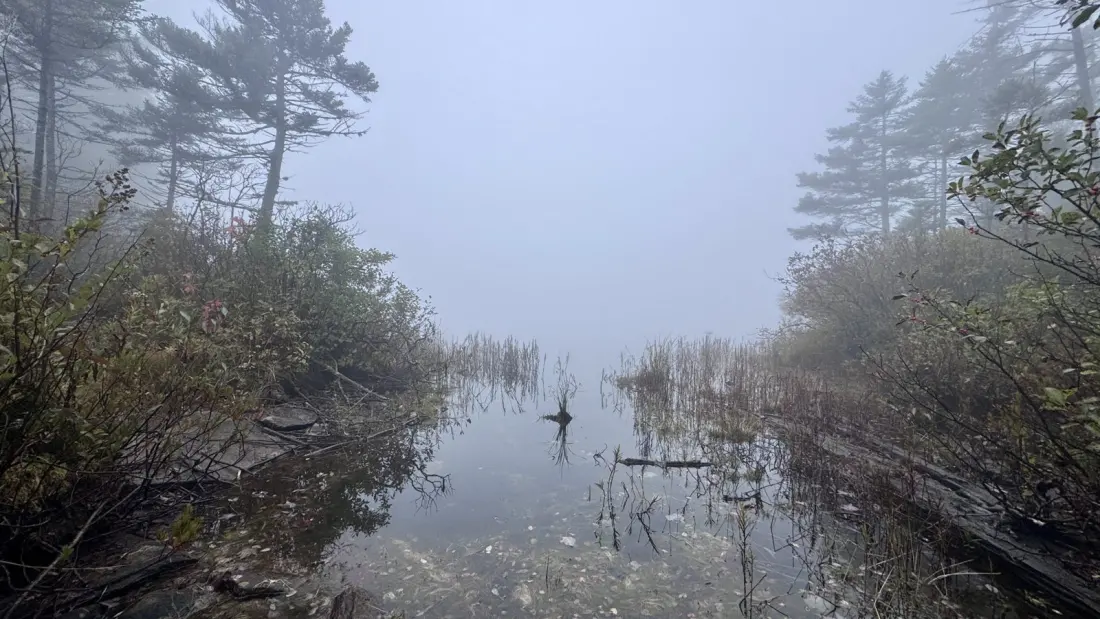Mud, Mist and a Water Worry: A 24-Mile Day on Vermont's Appalachian Trail
