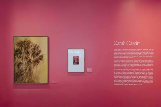 Cape Town's President Hotel turns its corridors into a gallery for artist Zarah Cassim