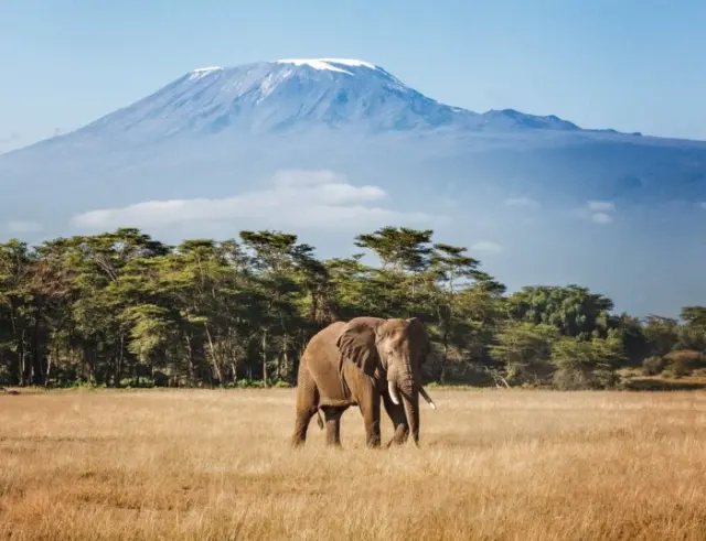 British Airways adds Kilimanjaro and Zanzibar flights from London for summer 2027