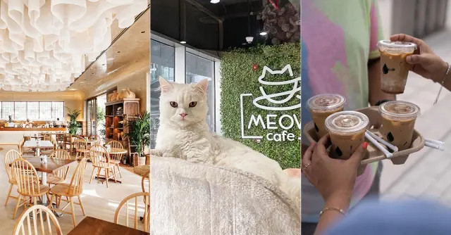 Abu Dhabi's cafe scene is having a moment: 20 spots worth a coffee stop