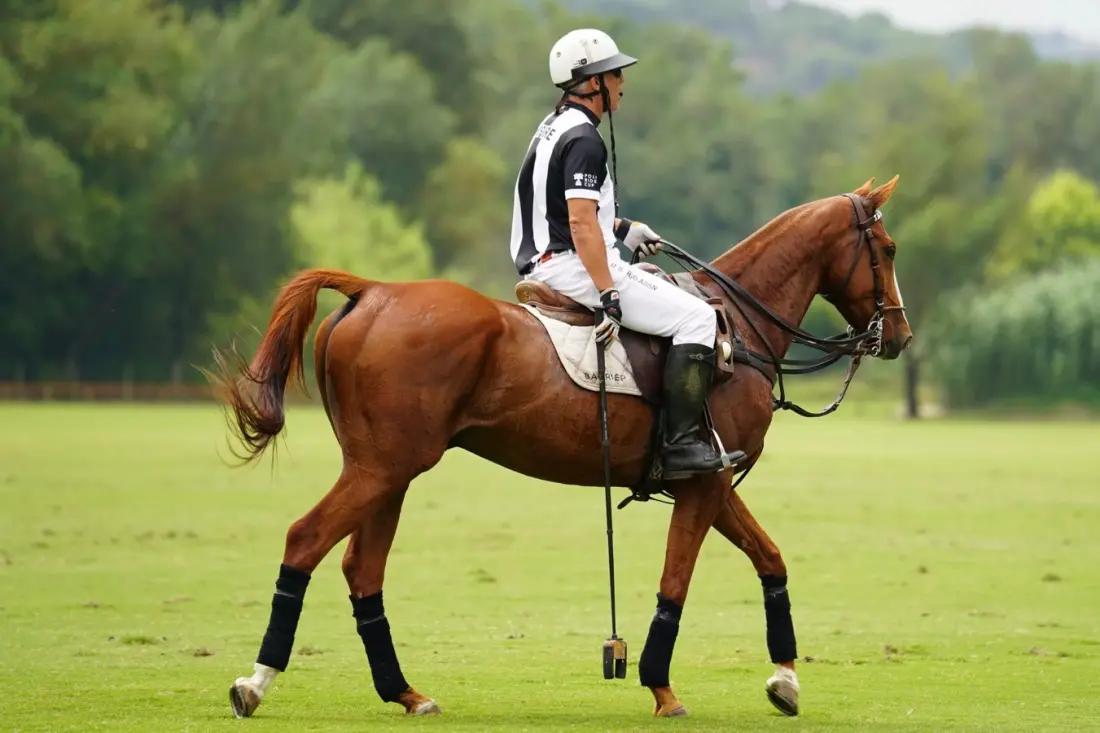 Absa Du Champ blends polo, African art and food in the Cape Winelands in 2027