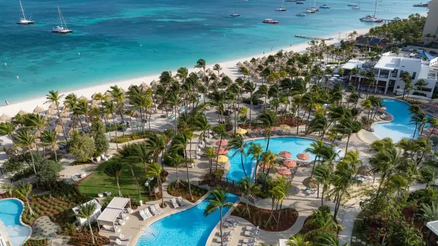 Aruba Hotel Picks: From Palm Beach Glamour to Eagle Beach Calm