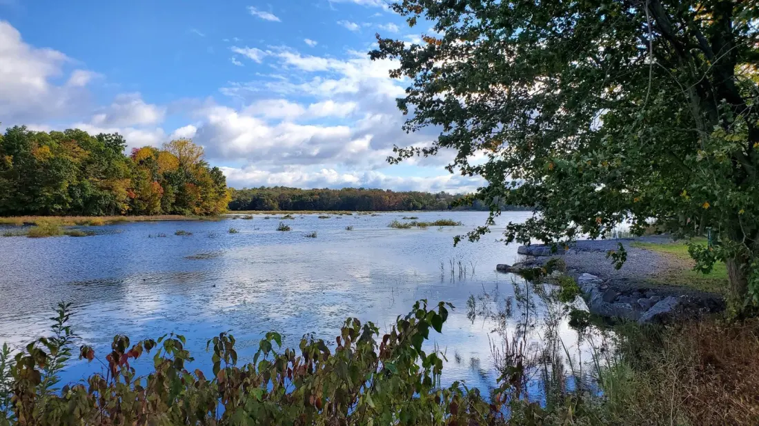 Minsi Lake: The Pennsylvania Wilderness Area With a 117-Acre Lake Built From Scratch