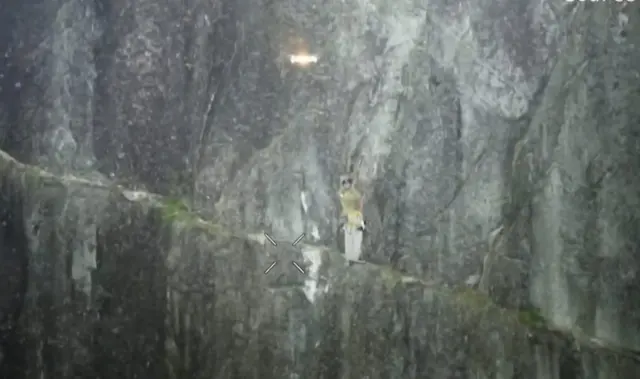 Drones Fly a Lifeline to a Climber Stuck Ropeless on the Stawamus Chief