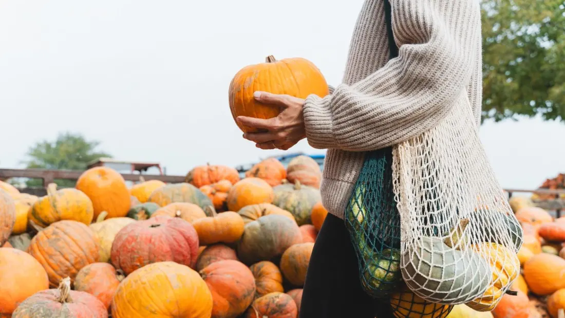 Halloween is creeping in: what's on in Calgary this weekend