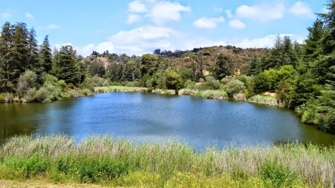 Franklin Canyon: The Quiet 650-Acre Park LA Tourists Keep Missing