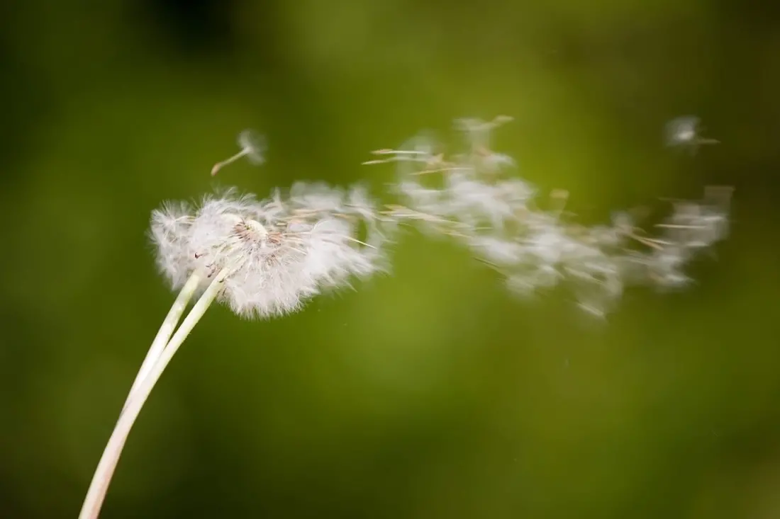 Ehecatl's Breath: How Mexico's Winds Mark the Turning of the Seasons