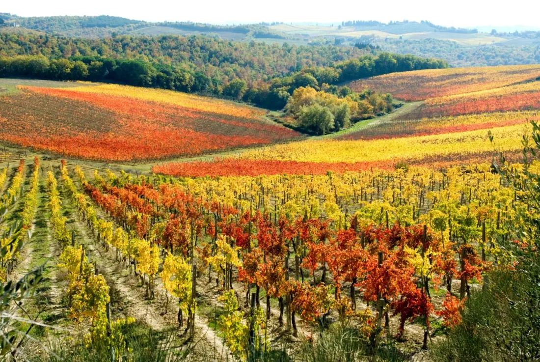 Swap Summer for Autumn: Four Italian Hot Spots That Shine After the Crowds Leave