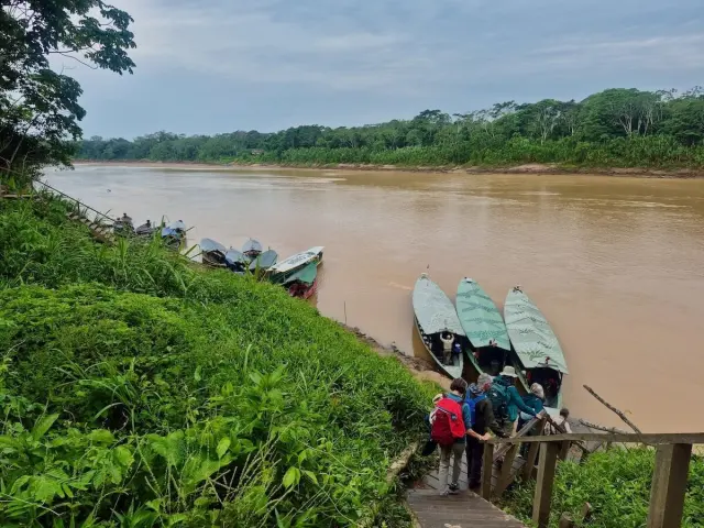 At This Peruvian Amazon Lodge, Guests Help Real Scientists Do Real Research
